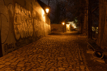 Fototapeta premium .street lighting and paving sidewalk for pedestrians in a park at night in the center of Prague