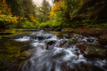 Beautiful View of a Waterfall in a Green Rain Forest during a sunny day. Taken in Kanaka Creek, Maple Ridge, near Vancouver, British Columbia, Canada.