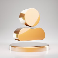 User icon. Yellow Gold User symbol on golden podium.