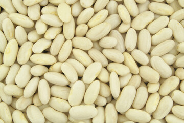White beans background or texture