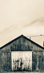 rusty corrugated iron shed on misty morning