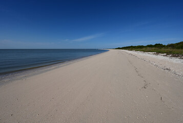 Fototapeta na wymiar Beach at Middle Cape Sable in Everglades National Park, Florida in morning light in winter.