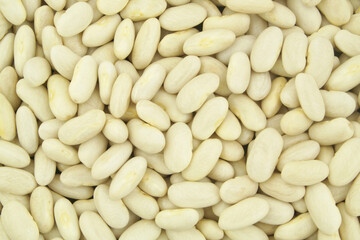 White beans or haricot as background
