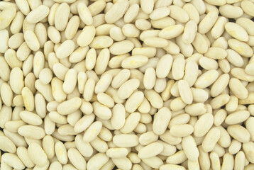 White beans or haricot as background