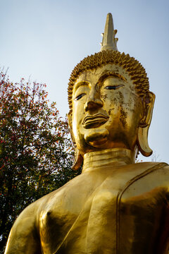 Gold Buddha statue in close up. Meditating Buddha statue with sky and leaves background.