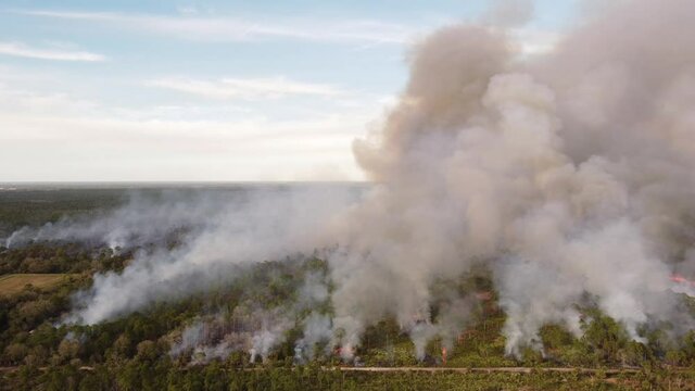 Aerial footage of a forest on fire deep woods 4k