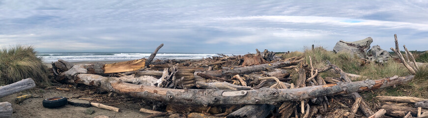 Driftwood swept on Oregon beach after king tide