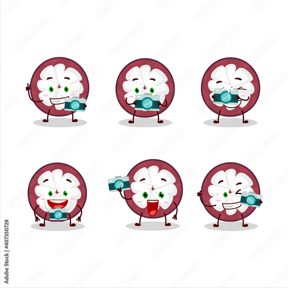 Poster photographer profession emoticon with slice of mangosteen cartoon character