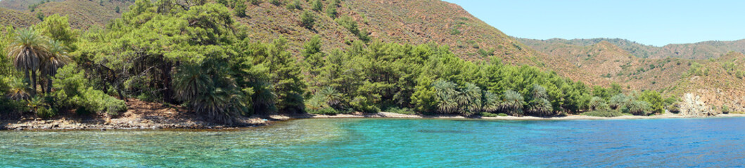 A peaceful bay with crystal clear turquoise waters. At the shoreline a forest with green pine trees and palm trees
