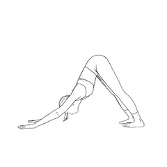 Yoga Downward Facing Dog Pose or Svanasana. Female yoga harmony. Sketch vector illustration isolated on white background