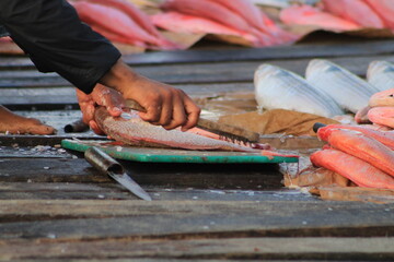 fisherman preparing fish