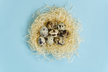 Easter background with eggs in nest on blue background.