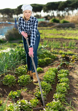 Positive farmer girl with rake in garden beds. High quality photo