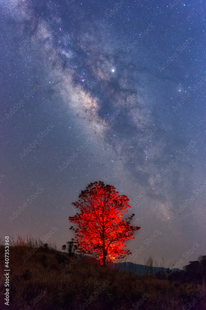 Wall mural milky way galaxy with stars and space dust in the universe over red tree, long speed exposure.