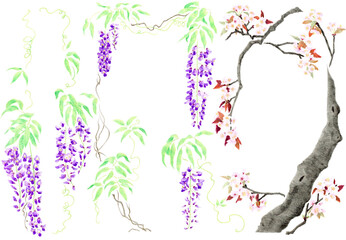 フレーム風藤と桜