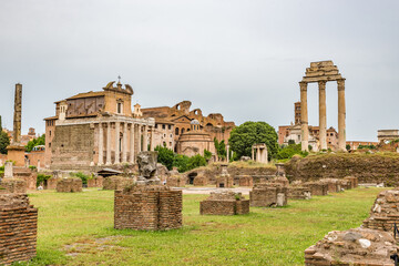 Fototapeta na wymiar Roman Forum in Rome, Italy, It is one of main tourist attractions of Rome. Nice panorama of the famous old Roman Forum or Foro Romano in summer. Ancient architecture and cityscape of historical Rome.