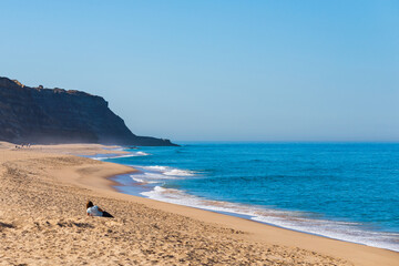 Obraz premium Panoramic landscape ocean, sandy wild beach, dunes, storm blue waves.