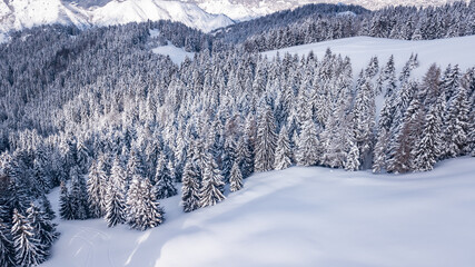 Aerial shot of a winter season snowy mountain forest. Breathtaking natural landscape, frozen forest. Perfect winter fairy landscape with a pine forest shot from above. Drone aerial snow-covered pines 