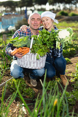 Happy couple with a crop of vegetables in the garden. High quality photo