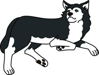 寝そべっている青い目のシベリアンハスキー