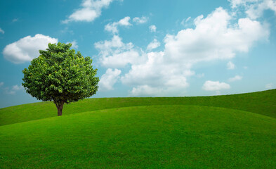 Fototapeta na wymiar Green tree and green grass on slope with white clouds and blue sky.
