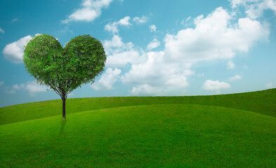 Fototapeta na wymiar Green grass on slope with heart shape green tree under blue sky. Beauty nature. Good environment.