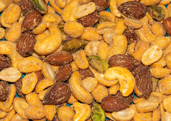 many types of roasted hazelnuts