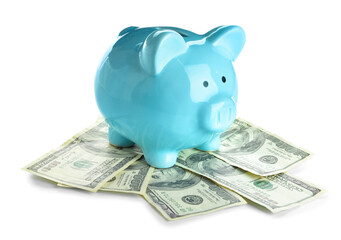Piggy bank with dollar banknotes on white background