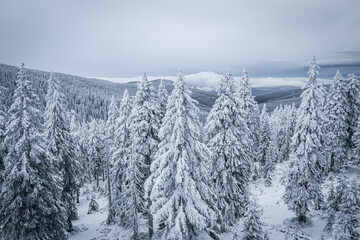 Krokonose mountains is located in northeastern Bohemia and in the south of the Polish part of Silesia. The highest mountain in the Giant Mountains and the whole of the Czech Republic is Snezka 1603m.