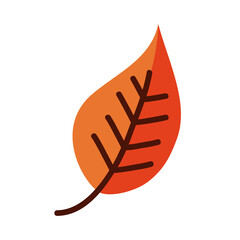 leaf line and fill style icon vector design