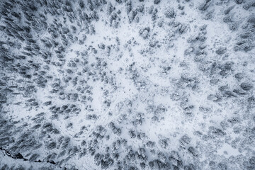 Krokonose mountains is located in northeastern Bohemia and in the south of the Polish part of Silesia. The highest mountain in the Giant Mountains and the whole of the Czech Republic is Snezka 1603m.