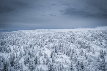 Krokonose mountains is located in northeastern Bohemia and in the south of the Polish part of Silesia. The highest mountain in the Giant Mountains and the whole of the Czech Republic is Snezka 1603m.