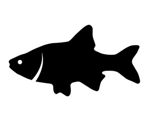 Black silhouette of fish on white background