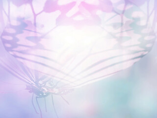 Natural background with natural butterfly