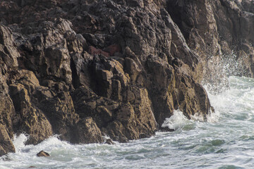 Rocas en la costa