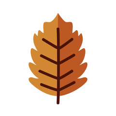 autumn season leaf line and fill style icon isolated vector design