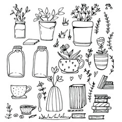 Growing plants, seedlings. Flowers in flowerpots. Spring gardening. Eco. Coloring book for children adults. Isolate on white. For design, textiles, poster, design paper. Stock graphics.