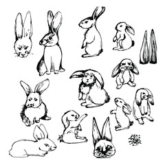 Easter bunnies, hares. Festive Easter drawing. Hand-drawn ink graphics. Cute rabbits in different poses. Isolate on white. For design, textiles, poster, design paper. Stock graphics.