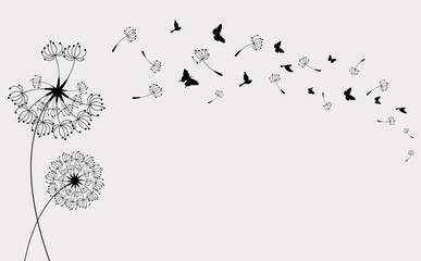 Dandelion with flying butterflies, bird and seeds, vector illustration