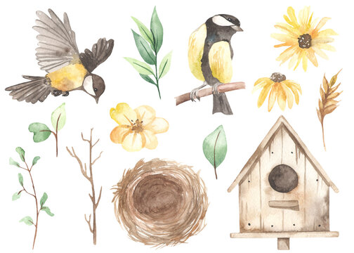 Watercolor easter set with titmouse, nest, yellow flowers, daisies, birdhouse, spring greenery, leaves, spikelet