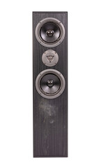 Broken audio speaker, done playing music