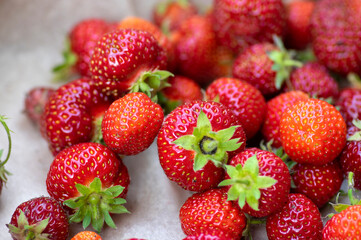 Harvested fresh raw red ripened strawberries background, group of fruits with green stems