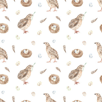 Watercolor seamless pattern with cute quails, nest with eggs, quail eggs on a white background