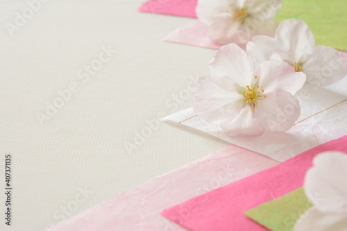 桜の花 和紙 Wall Mural Wallpaper Murals Wallsheaven Tamayura39 桜の花 和紙 Wall Mural Wallpaper Murals Wallsheaven Tamayura39