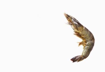 Fresh shrimps or prawns raw on white background.