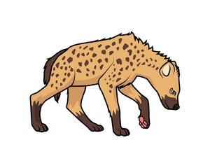 Hyena cartoon animal vector illustration 2