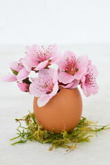 Bunch of pink flowers in egg shell isolated on white background. Copy space