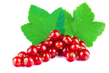 Red currants with leaf isolated on white