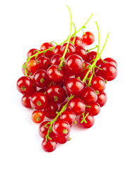 Red currants isolated on white