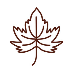 maple leaf line style icon vector design